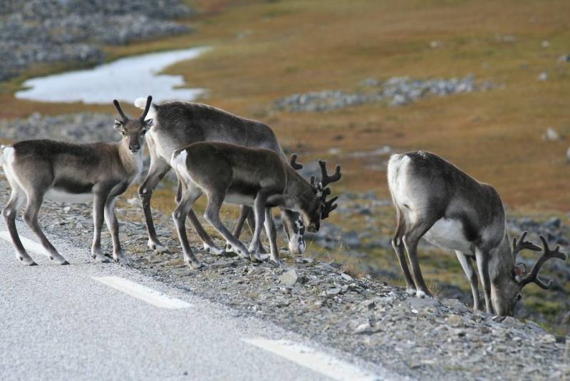 IMG 6300 (1024 x 768)