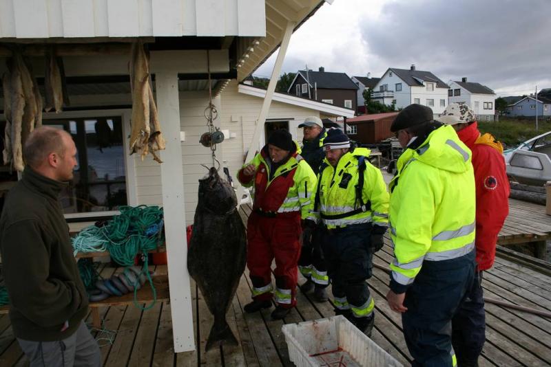 IMG 6320 (1024 x 768)