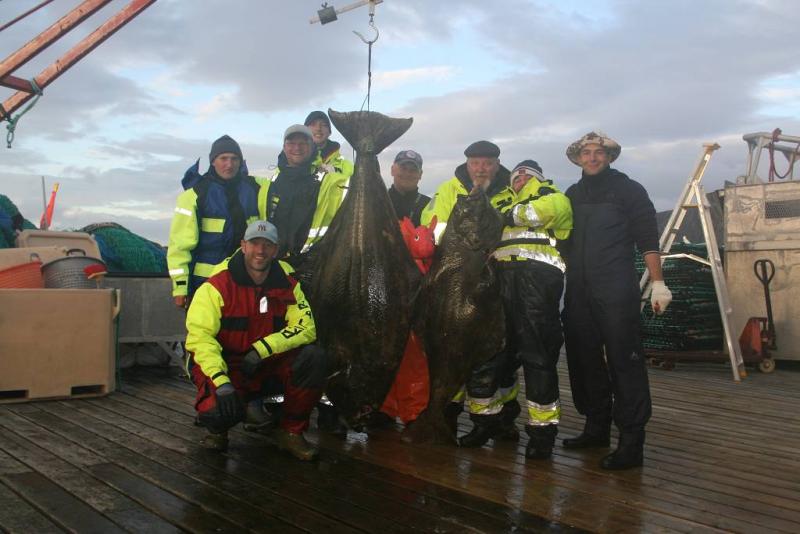 IMG 6449 (1024 x 768)