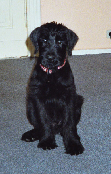 imm032 30 edited