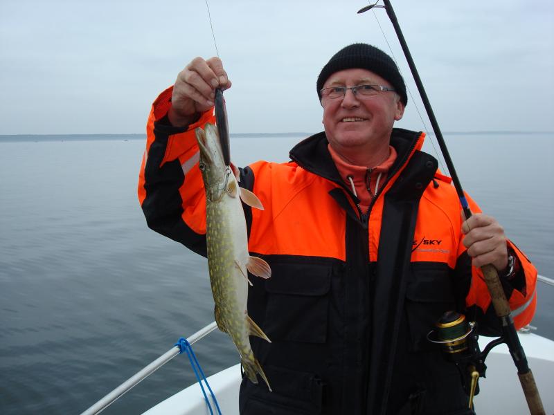 kaum größer als der Köder