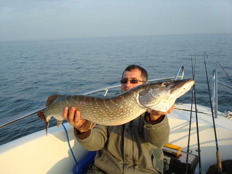 knapp die Metermarke verfehlt