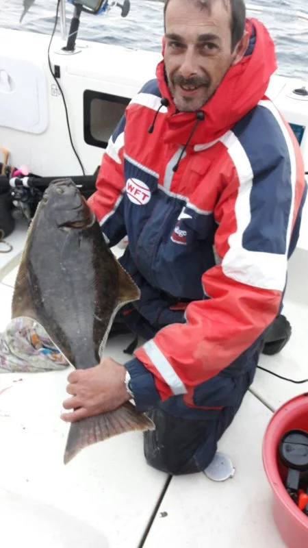 Knapp untermaßig: Akinos' Heilbutt.