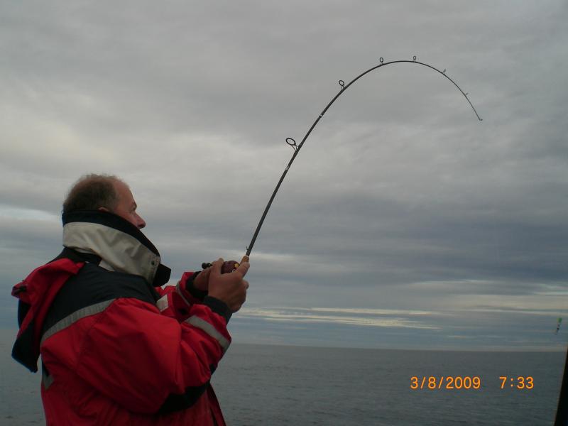 krumme JB-rute mit kleiner Abu Wurfmulti