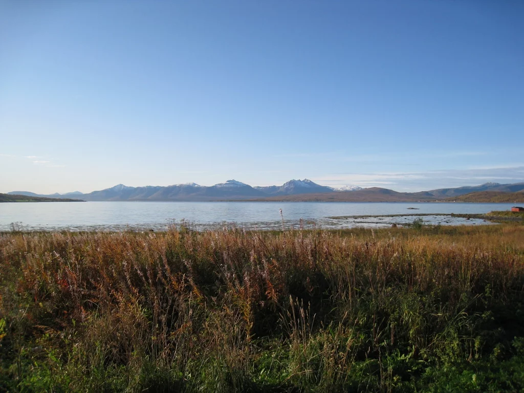 Kvalöya , die Natur pur