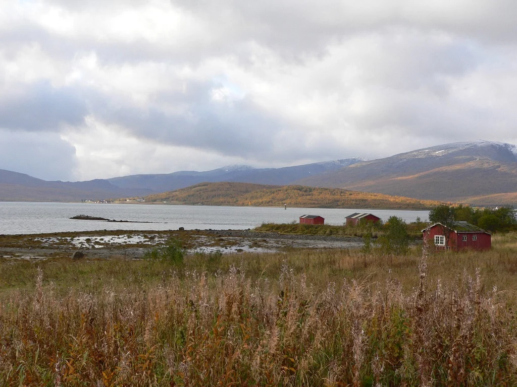 Kvalöya , die Natur pur