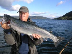 Lachs 002 web