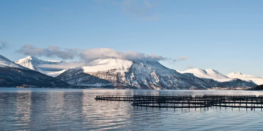 Lachsfarm-norwegen_2000_1000_q60_fit_crop