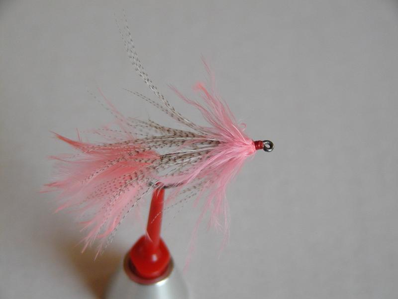 LachsMefo Wettbewerb 002