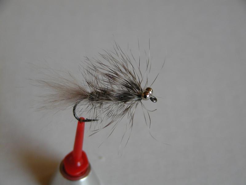 LachsMefo Wettbewerb 003