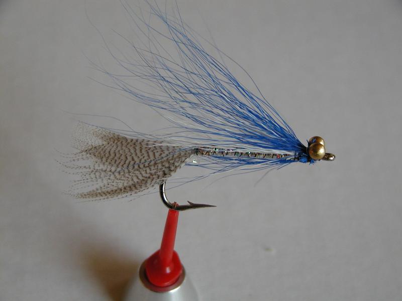 LachsMefo Wettbewerb 005