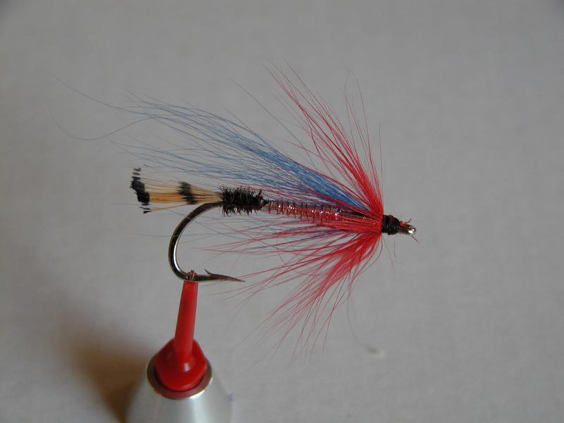 LachsMefo Wettbewerb 006