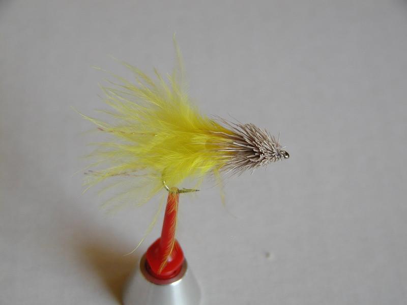 LachsMefo Wettbewerb 010