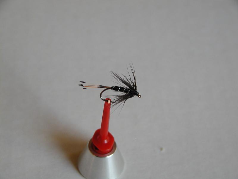 LachsMefo Wettbewerb 011