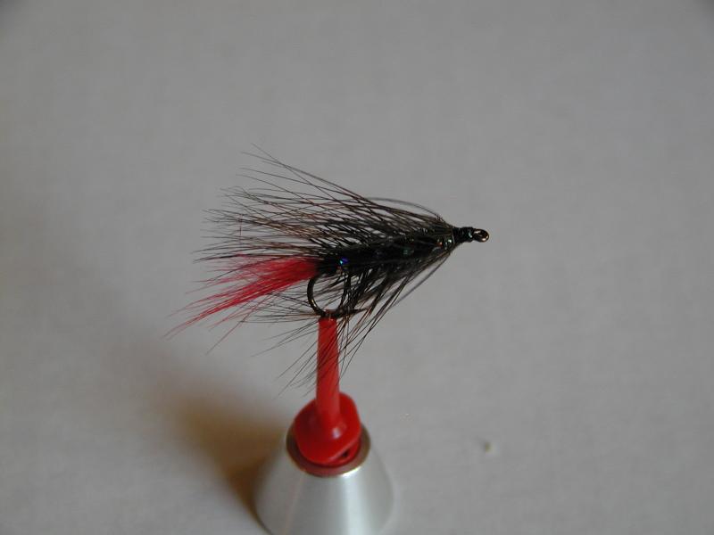 LachsMefo Wettbewerb 012