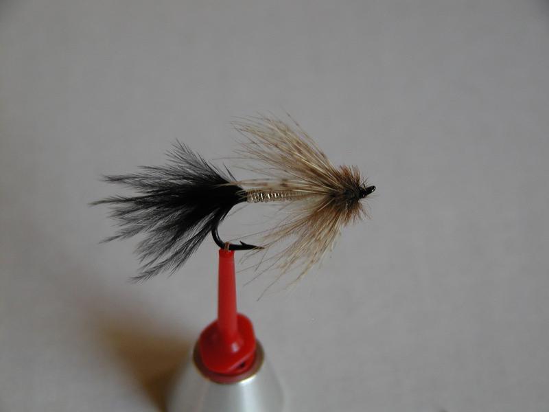 LachsMefo Wettbewerb 013