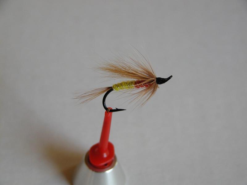 LachsMefo Wettbewerb 016