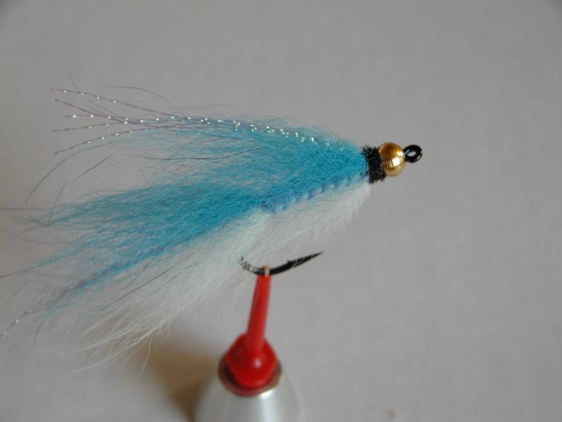 LachsMefo Wettbewerb 017