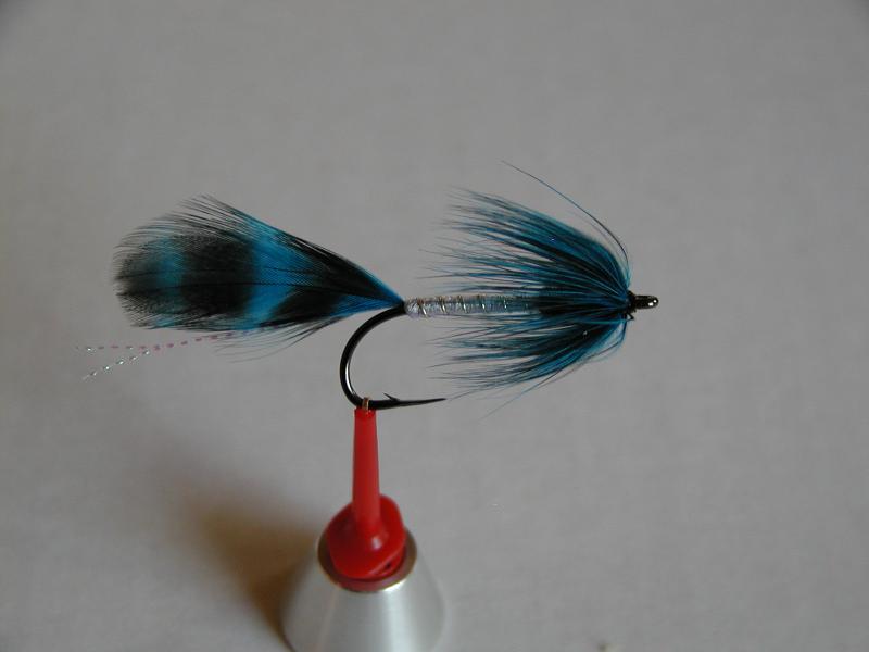 LachsMefo Wettbewerb 018