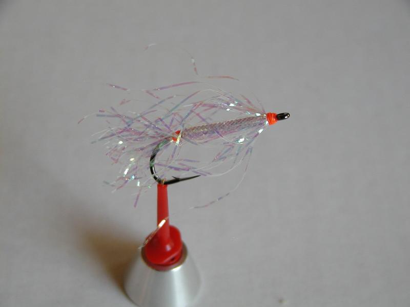 LachsMefo Wettbewerb 019