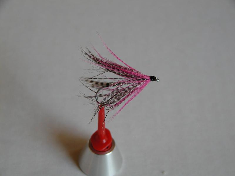 LachsMefo Wettbewerb 020