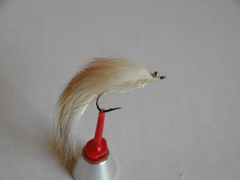 LachsMefo Wettbewerb 022