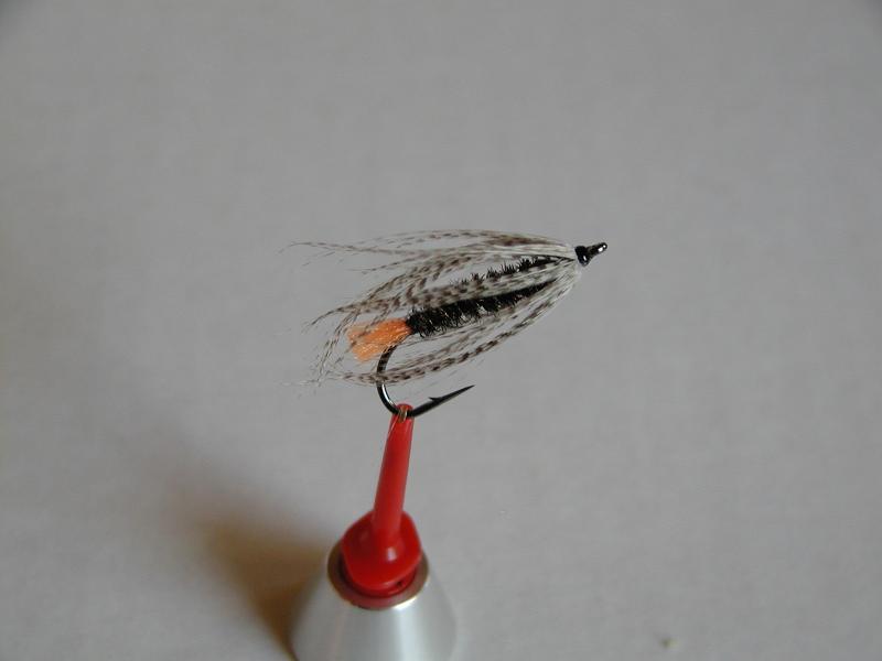 LachsMefo Wettbewerb 023