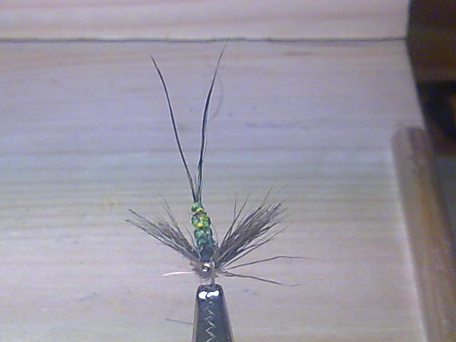 Maifliege mit einen so genannten
Extended Body