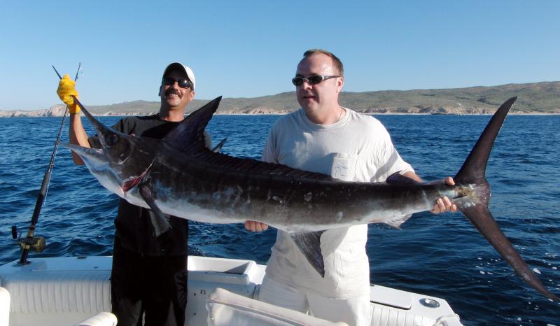 marlin striped