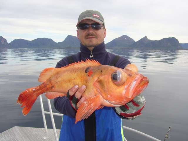 Mein Schwager Carstenson