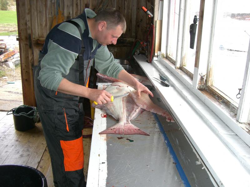 Nach dem Ole mir zeigte wie eine Platte zerlegt wird,hab ich mich selbst an die Arbeit gemacht