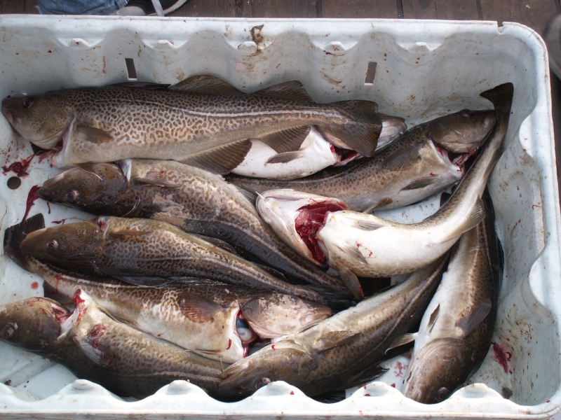 NAF_Kuttertour_04._05.09.04_034