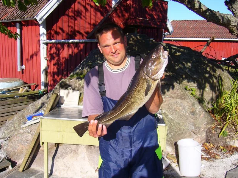 naja doll waren die Fische nicht