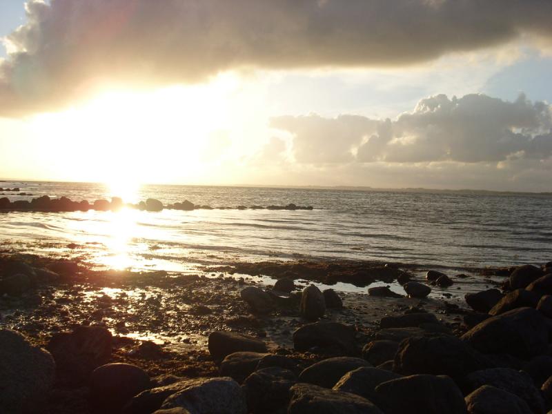 Nordsee sommer 08 076