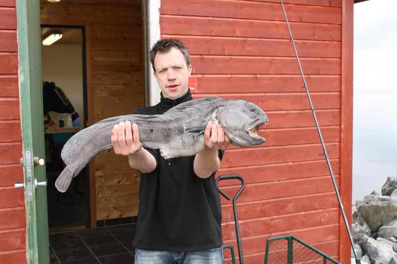 Norwegen 2012 EOS 102