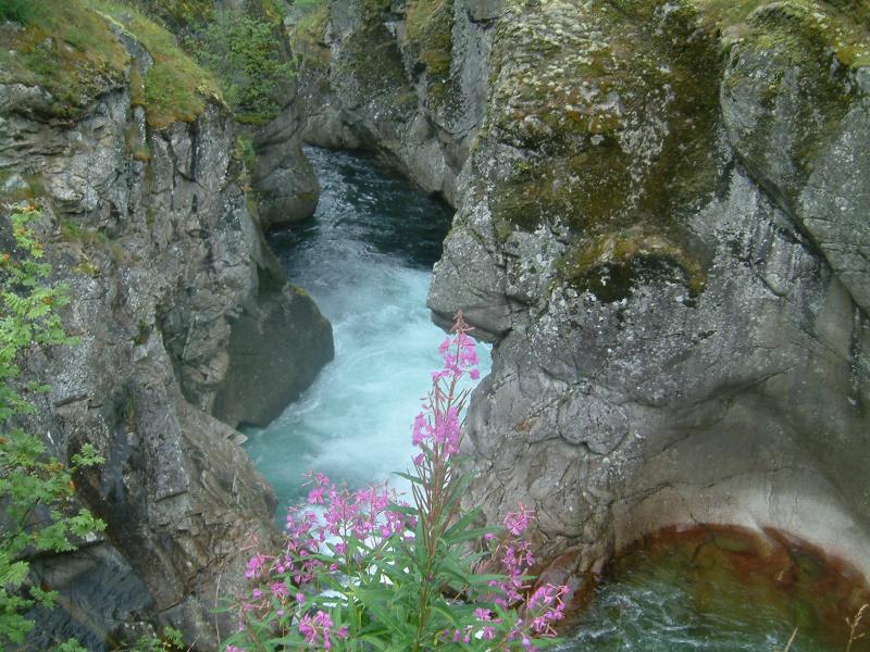 NORWEGEN ANGELN 05 183