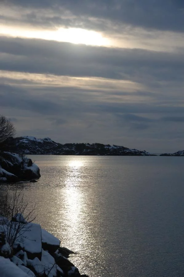 Norwegen,Winter 2009,2010 012