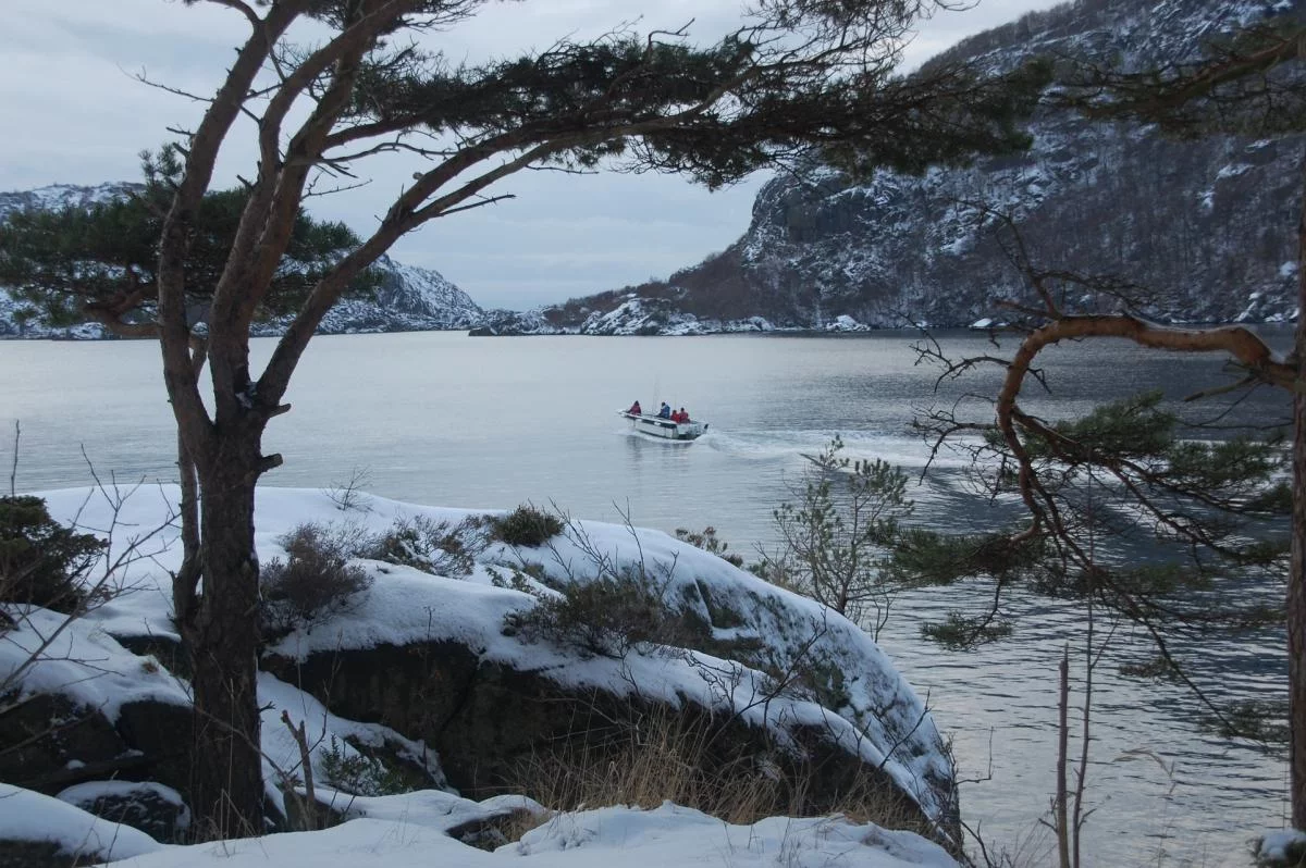 Norwegen,Winter 2009,2010 019