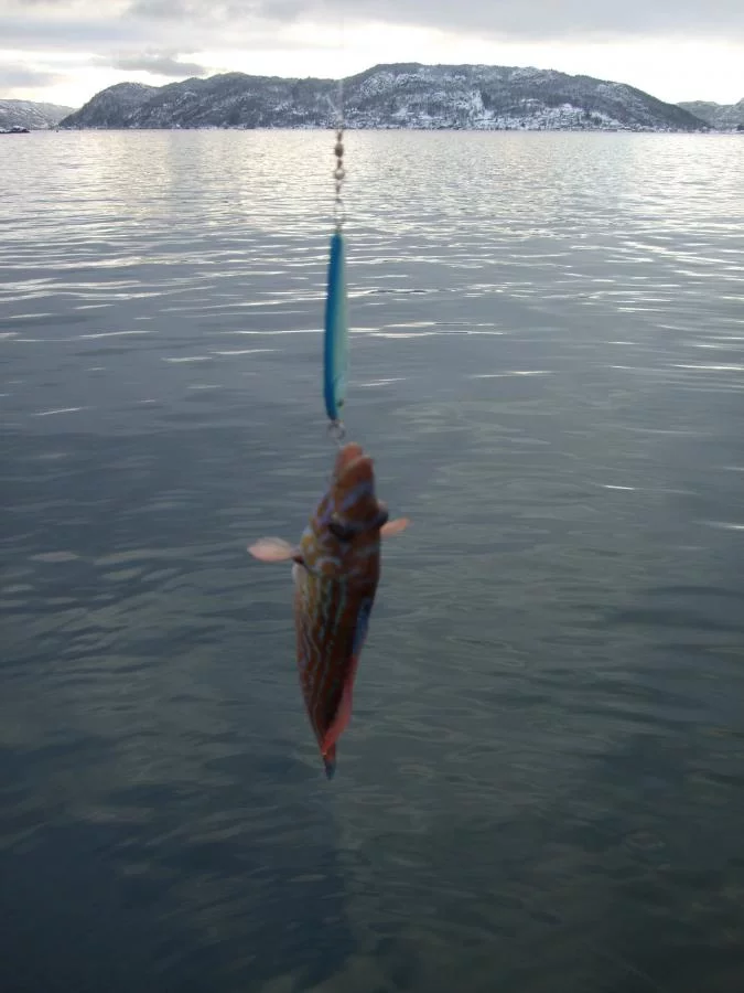 Norwegen,Winter 2009,2010 088