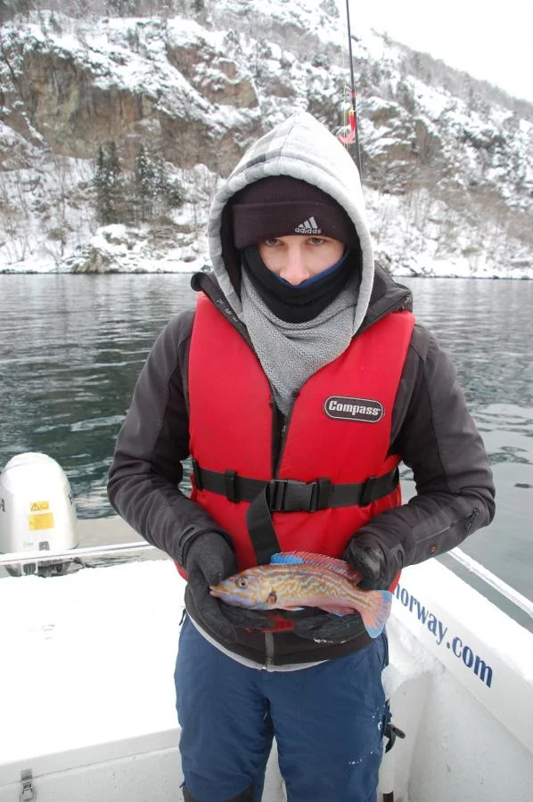 Norwegen,Winter 2009,2010 091