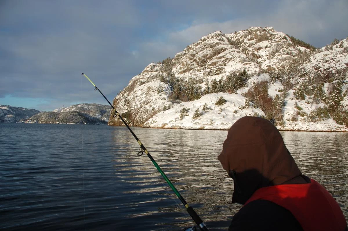 Norwegen,Winter 2009,2010 094