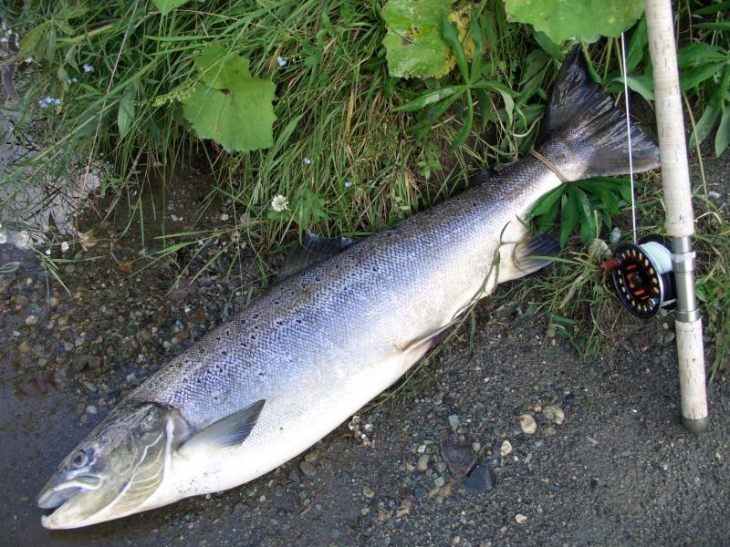 Norwegen2008 244