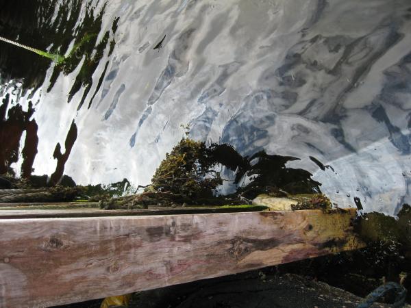 Ölschicht an der Wasserentnahmestelle zum reinigen der Fische