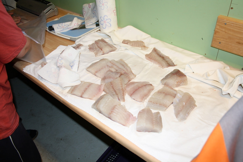 ordentlich portioniert