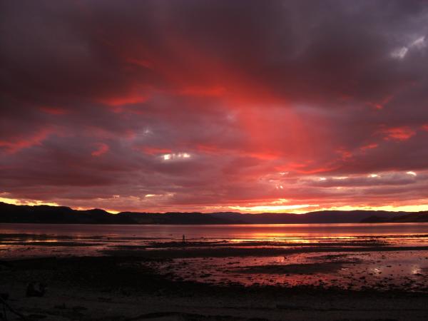 oysand / trondheim 2008