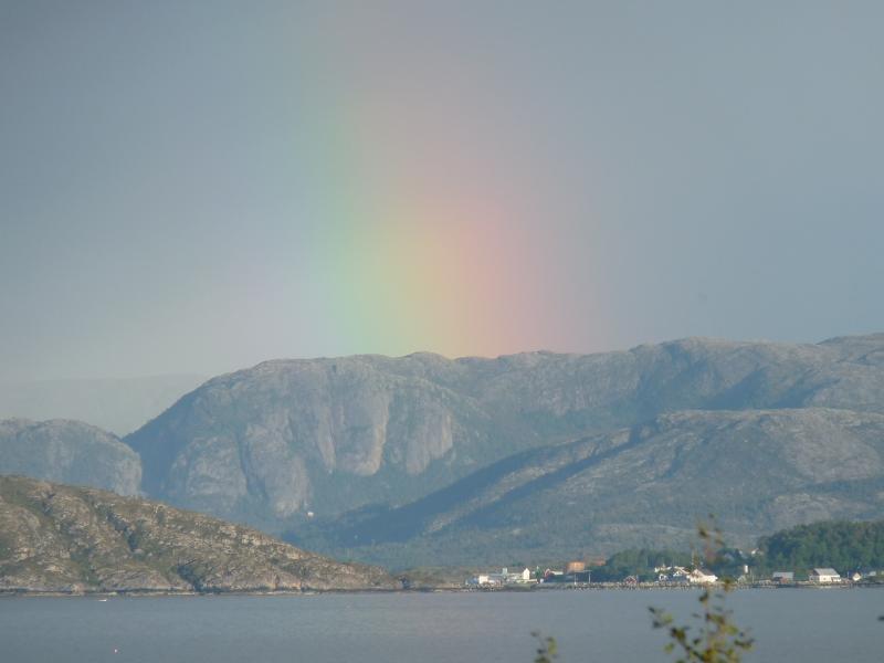 P1000779