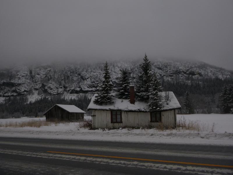 P1000788