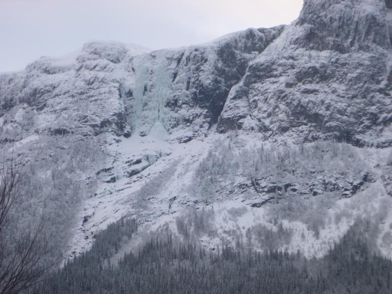 P1000963