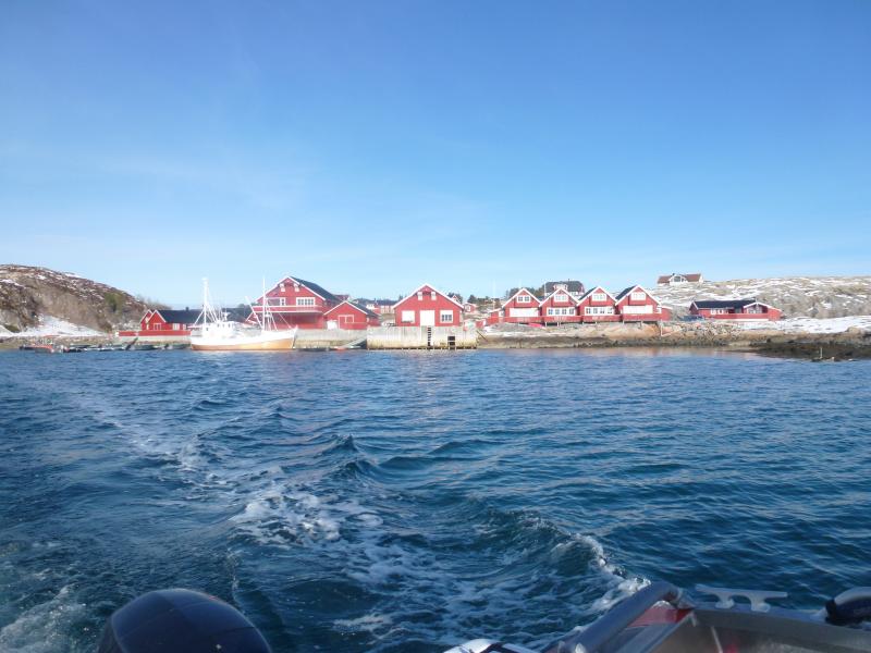 P1010590