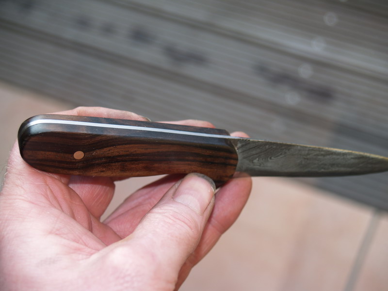 P1298412 Bildgröße ändern